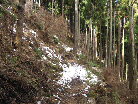 20160121hike (78)